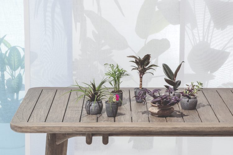 banawa-kolekcija-il-giardino-di-legno-studio-hendro-hadinata-luksuzni-drveni-outdoor-namestaj-1