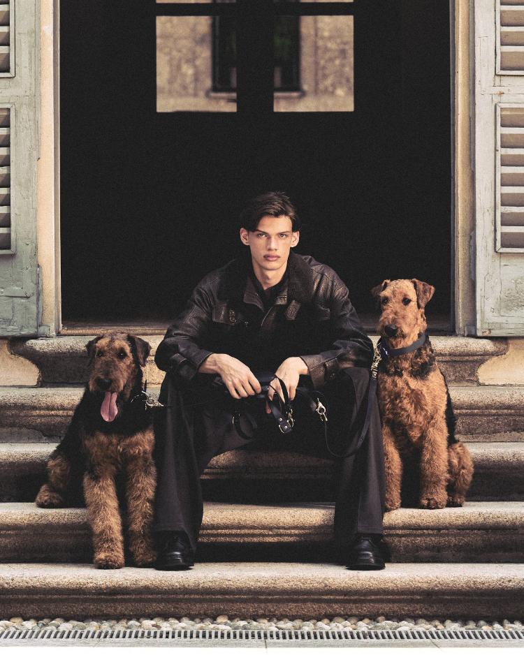 giorgio-armani-poldo-dog-couture-kolekcija-za-pse-jesen-2026-10