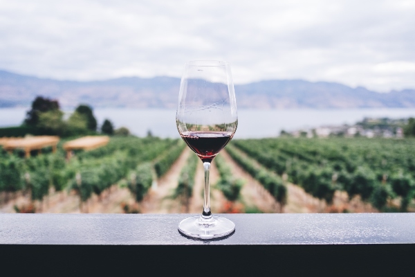 Top lista: najskuplja vina 2021.godine