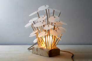 Organska lampa inspirisana kineskom biljkom novca
