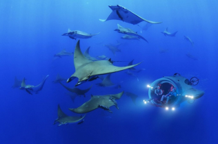 Podvodni Ferari: sportska podmornica visokih performansi je brža čak i od dobrog delfina