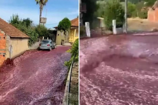 Portugalsko selo preplavljeno sa 2,2 miliona litara crvenog vina nakon nesreće u lokalnoj destileriji