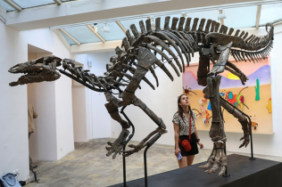 Skelet dinosaurusa star 150 miliona godina na aukciji