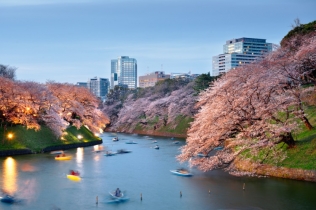 Savršeno proleće u Japanu