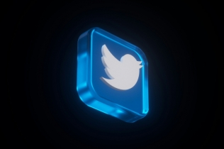 Twitter ptica ide na aukciju - unikatni suvenir mogao bi da se proda za rekordnu sumu