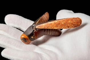 Guennol Grasshopper: Egipatski artefakt iz 1350. godine p.n.e. prodat za 455.000 dolara uprkos sumnjama u poreklo