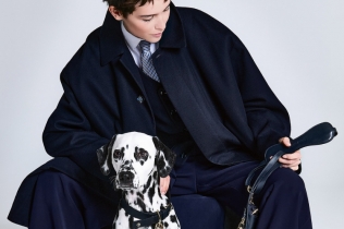 Giorgio Armani i Poldo Dog Couture: Luksuzni gradski aksesoari za pse