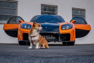 Brembo: Najslavniji pas Instagrama pozira sa Bugattijem kao da je rođen za volanom