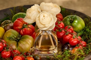 Paradajz nikada nije mirisao ovako šik — Agraria San Francisco & Monique Lhuillier lansiraju Tomato Oakmoss kolekciju za dom
