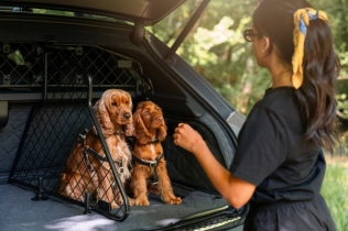 Bentley misli i na ljubimce: Bentayga dobija luksuznu kolekciju za pse i mačke