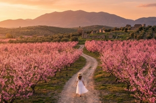 Ovo je najveća grčka prolećna atrakcija koju vredi doživeti barem jednom u životu