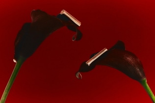 Najlepše slušalice do sada? Honey Tone verzija osvaja na prvi pogled