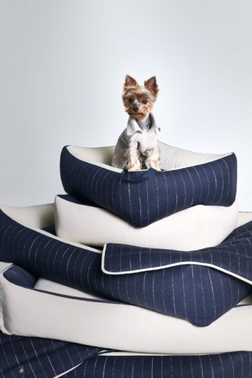 Giorgio Armani i Poldo Dog Couture: Nova kolekcija za ljubimce u znaku elegancije